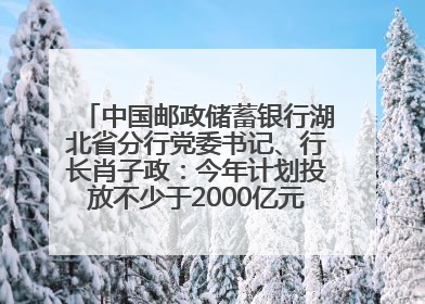 中国邮政储蓄银行湖北省分行党委书记、行长肖子政：今年计划投放不少于2000亿元支持支点建设