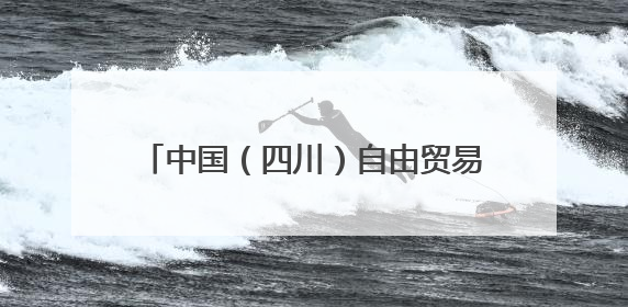 中国（四川）自由贸易试验区川南临港片区党工委书记谭荣兵一行赴岳阳城陵矶综保区考察