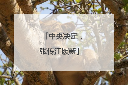 中央决定，张传江履新
