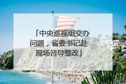 中央巡视组交办问题，省委书记赴现场督导整改