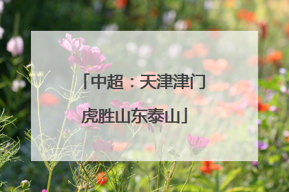 中超：天津津门虎胜山东泰山