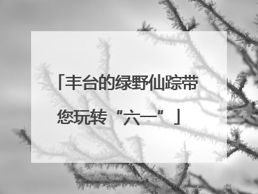 丰台的绿野仙踪带您玩转“六一”