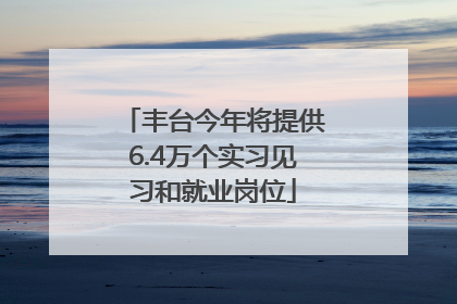 丰台今年将提供6.4万个实习见习和就业岗位
