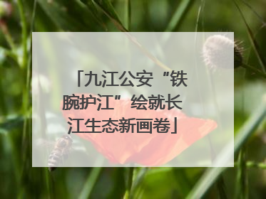 九江公安“铁腕护江”绘就长江生态新画卷