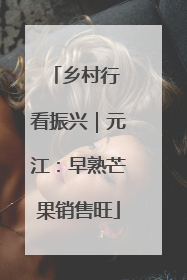 乡村行 看振兴｜元江：早熟芒果销售旺