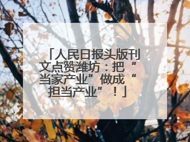 人民日报头版刊文点赞潍坊：把“当家产业”做成“担当产业”！