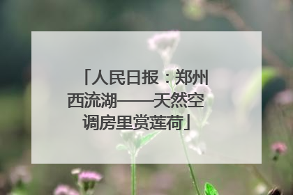 人民日报：郑州西流湖——天然空调房里赏莲荷
