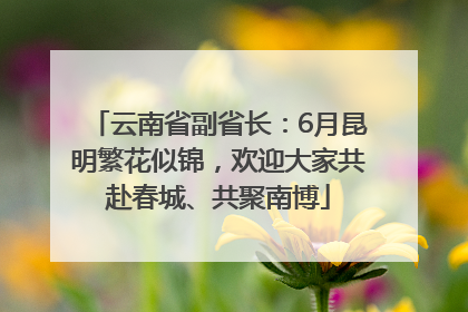 云南省副省长：6月昆明繁花似锦，欢迎大家共赴春城、共聚南博