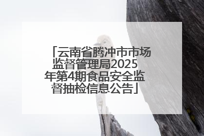云南省腾冲市市场监督管理局2025年第4期食品安全监督抽检信息公告