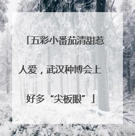 五彩小番茄清甜惹人爱，武汉种博会上好多“尖板眼”
