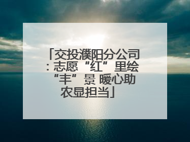 交投濮阳分公司：志愿“红”里绘“丰”景 暖心助农显担当