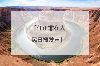 任正非在人民日报发声