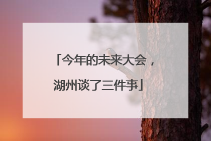 今年的未来大会，湖州谈了三件事