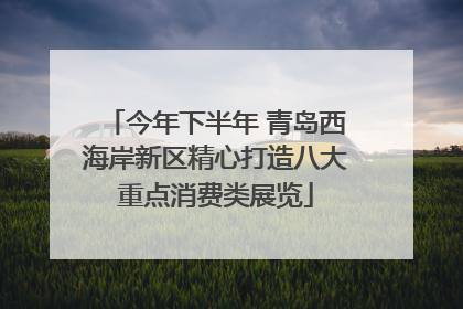 今年下半年 青岛西海岸新区精心打造八大重点消费类展览