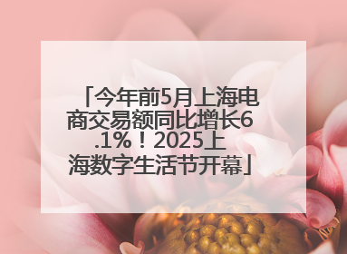 今年前5月上海电商交易额同比增长6.1%！2025上海数字生活节开幕