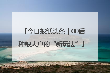 今日报纸头条｜00后种粮大户的“新玩法”