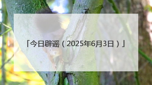 今日辟谣（2025年6月3日）