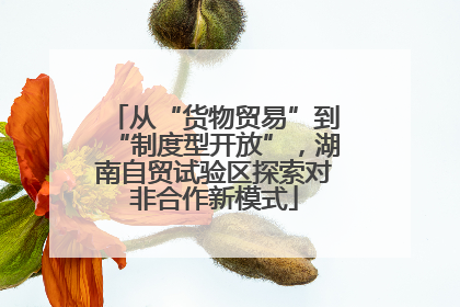 从“货物贸易”到“制度型开放”，湖南自贸试验区探索对非合作新模式