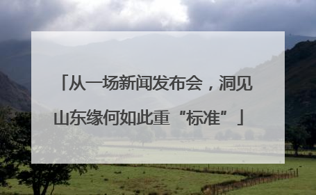 从一场新闻发布会，洞见山东缘何如此重“标准”