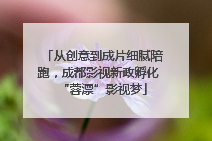 从创意到成片细腻陪跑，成都影视新政孵化“蓉漂”影视梦