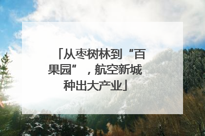 从枣树林到“百果园”，航空新城种出大产业