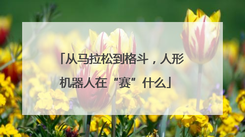 从马拉松到格斗，人形机器人在“赛”什么