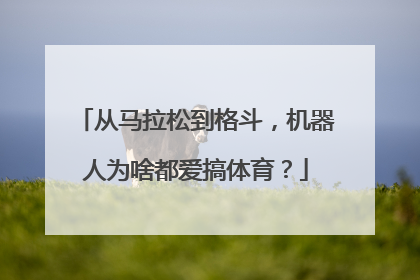 从马拉松到格斗，机器人为啥都爱搞体育？