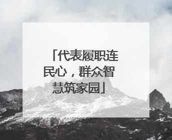 代表履职连民心，群众智慧筑家园