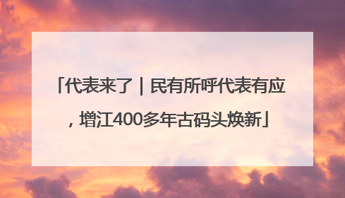 代表来了｜民有所呼代表有应，增江400多年古码头焕新