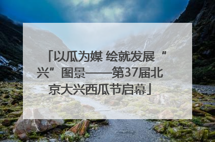 以瓜为媒 绘就发展“兴”图景——第37届北京大兴西瓜节启幕