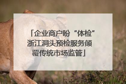 企业商户盼“体检” 浙江洞头预检服务颠覆传统市场监管