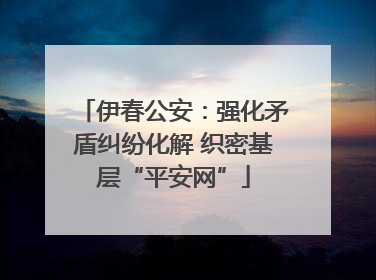 伊春公安：强化矛盾纠纷化解 织密基层“平安网”