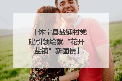 休宁县盐铺村党建引领绘就“花开盐铺”新图景