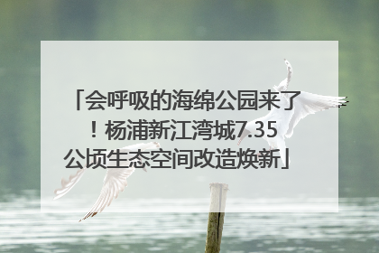 会呼吸的海绵公园来了！杨浦新江湾城7.35公顷生态空间改造焕新