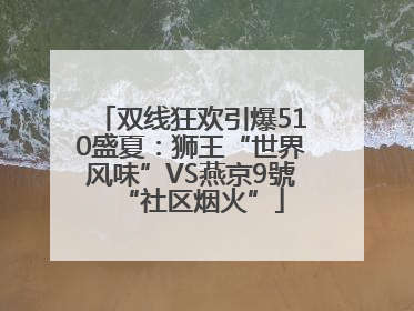 双线狂欢引爆510盛夏：狮王“世界风味”VS燕京9號“社区烟火”