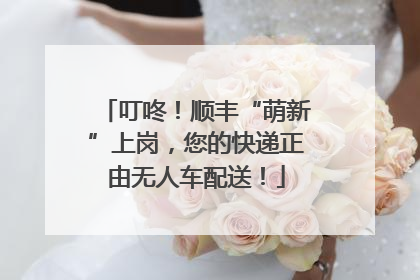 叮咚！顺丰“萌新”上岗，您的快递正由无人车配送！