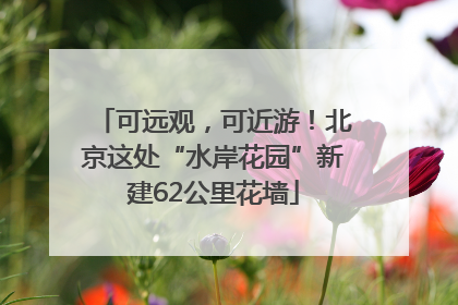 可远观，可近游！北京这处“水岸花园”新建62公里花墙