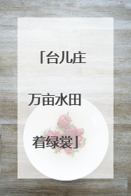 台儿庄万亩水田着绿裳