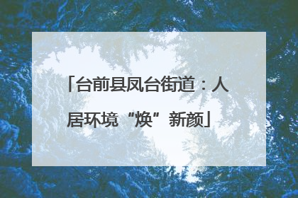 台前县凤台街道：人居环境“焕”新颜