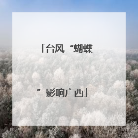 台风“蝴蝶”影响广西