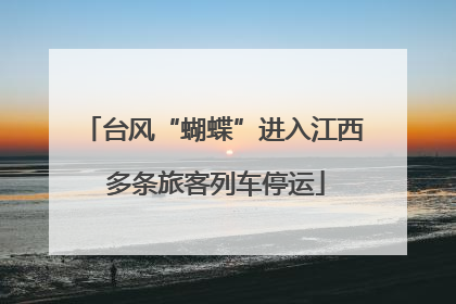 台风“蝴蝶”进入江西 多条旅客列车停运