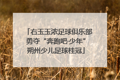 右玉玉浓足球俱乐部勇夺“奔跑吧·少年”朔州少儿足球桂冠