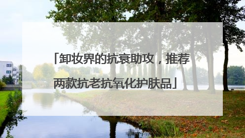 卸妆界的抗衰助攻，推荐两款抗老抗氧化护肤品
