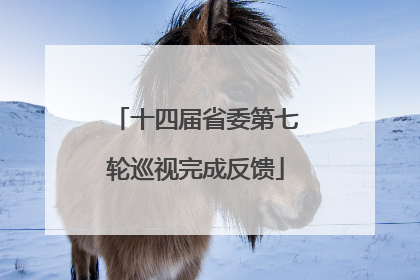 十四届省委第七轮巡视完成反馈