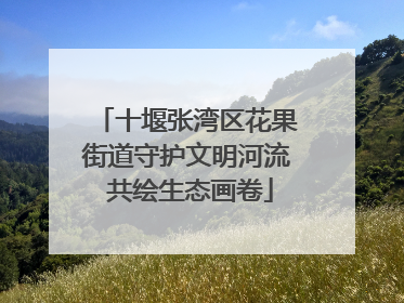 十堰张湾区花果街道守护文明河流 共绘生态画卷