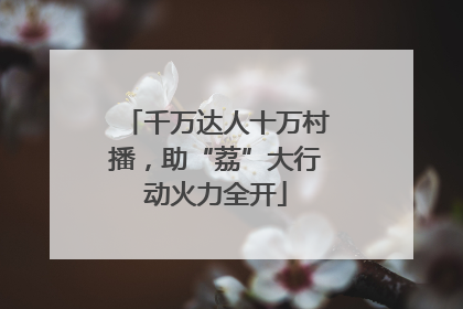 千万达人十万村播，助“荔”大行动火力全开