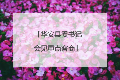 华安县委书记会见重点客商