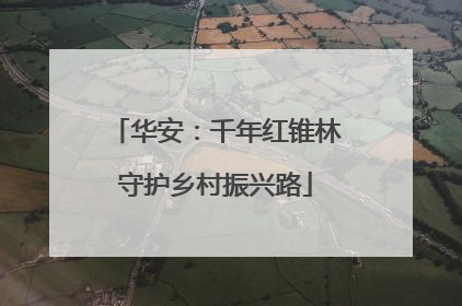 华安：千年红锥林守护乡村振兴路