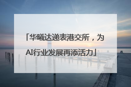 华曦达递表港交所，为AI行业发展再添活力