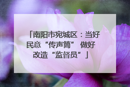 南阳市宛城区：当好民意“传声筒” 做好改造“监督员”